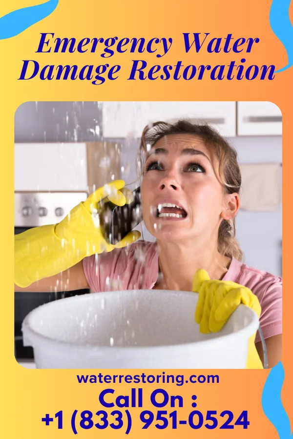 Emergency Water Damage Restoration in Eaton, IN