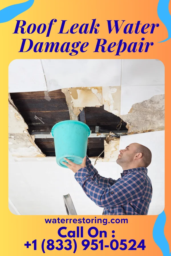 Roof Leak Water Damage Repair in Eaton, IN