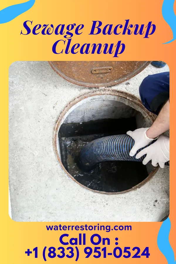 Sewage Backup Cleanup in Eaton, IN